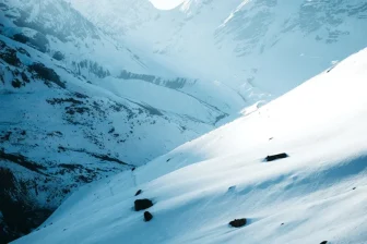 a couple of animals walking across a snow covered slope