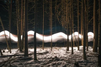 A forest filled with lots of trees covered in snow